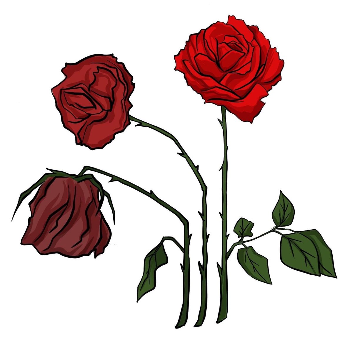 Robinson Capital Growth Ventures